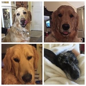 Meet your Posher, Jennifer